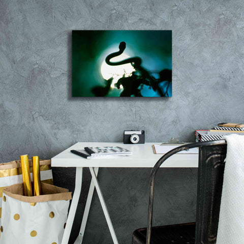 Image of 'Snake Sun' by Thomas Haney, Giclee Canvas Wall Art,18 x 12