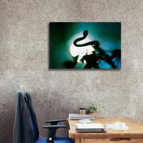 Image of 'Snake Sun' by Thomas Haney, Giclee Canvas Wall Art,40 x 26