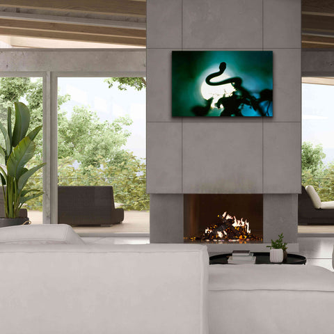 Image of 'Snake Sun' by Thomas Haney, Giclee Canvas Wall Art,40 x 26