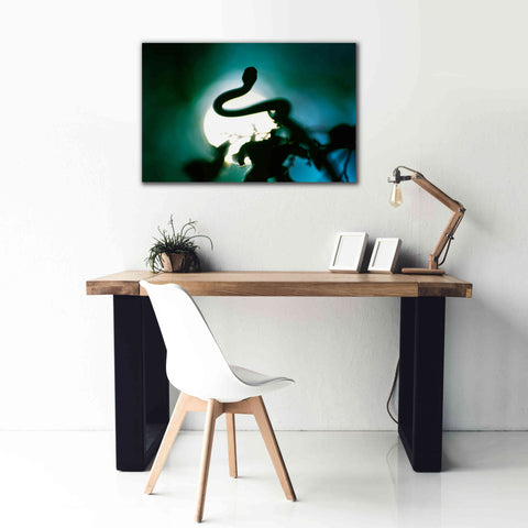Image of 'Snake Sun' by Thomas Haney, Giclee Canvas Wall Art,40 x 26