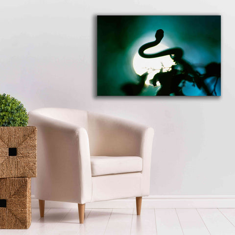 Image of 'Snake Sun' by Thomas Haney, Giclee Canvas Wall Art,40 x 26