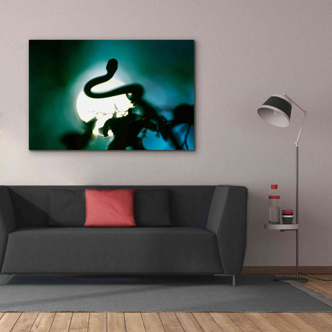 Image of 'Snake Sun' by Thomas Haney, Giclee Canvas Wall Art,60 x 40