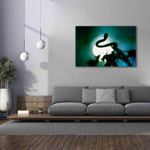 Image of 'Snake Sun' by Thomas Haney, Giclee Canvas Wall Art,60 x 40
