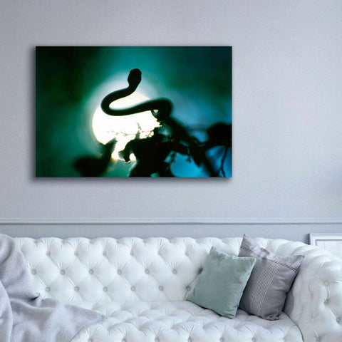 Image of 'Snake Sun' by Thomas Haney, Giclee Canvas Wall Art,60 x 40