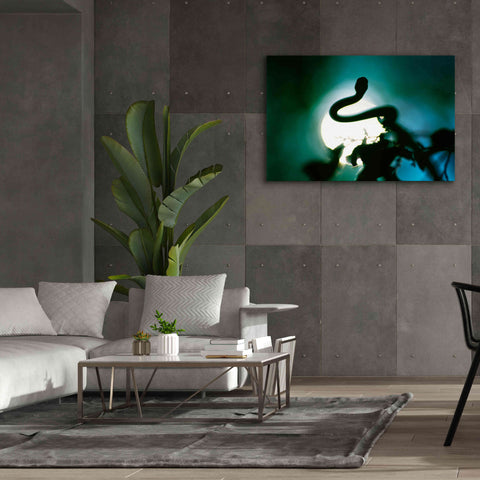 Image of 'Snake Sun' by Thomas Haney, Giclee Canvas Wall Art,60 x 40