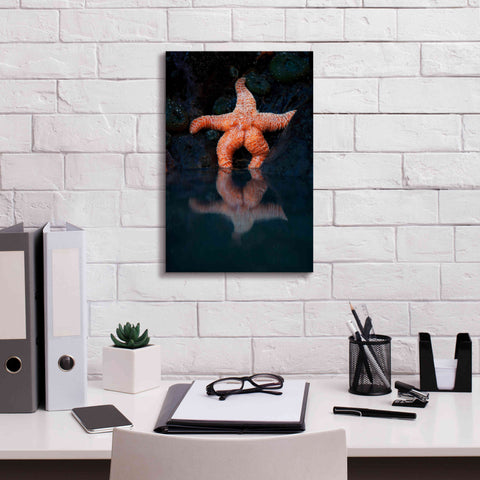 Image of 'Starfish Reflection 2' by Thomas Haney, Giclee Canvas Wall Art,12 x 18