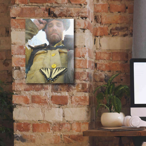 Image of 'Swallow tail' by Thomas Haney, Giclee Canvas Wall Art,12 x 16