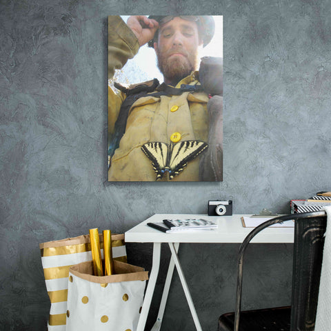 Image of 'Swallow tail' by Thomas Haney, Giclee Canvas Wall Art,18 x 26