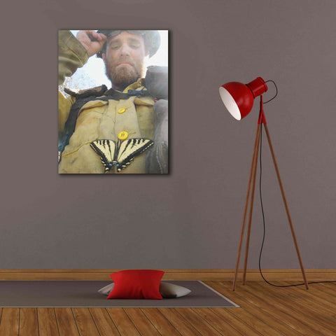 Image of 'Swallow tail' by Thomas Haney, Giclee Canvas Wall Art,26 x 34