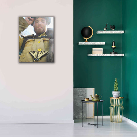 Image of 'Swallow tail' by Thomas Haney, Giclee Canvas Wall Art,26 x 34