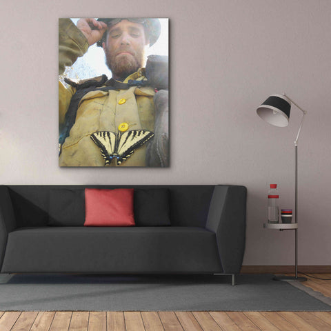 Image of 'Swallow tail' by Thomas Haney, Giclee Canvas Wall Art,40 x 54