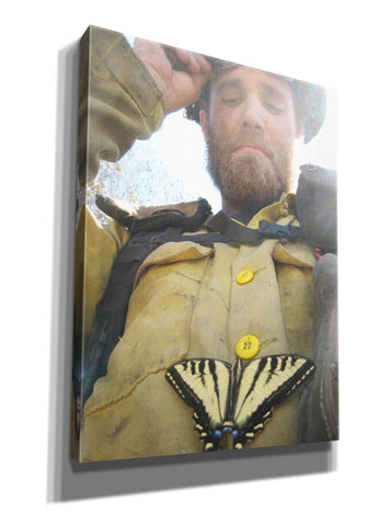 Image of 'Swallow tail' by Thomas Haney, Giclee Canvas Wall Art