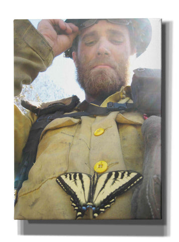 Image of 'Swallow tail' by Thomas Haney, Giclee Canvas Wall Art