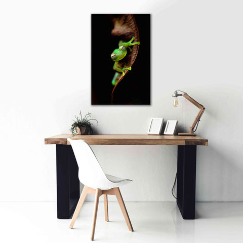 Image of 'Frog Portrait' by Thomas Haney, Giclee Canvas Wall Art,26 x 40