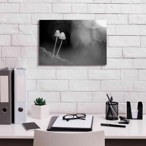 Image of 'Mushroom Tiny' by Thomas Haney, Giclee Canvas Wall Art,18 x 12