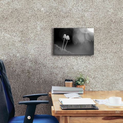 Image of 'Mushroom Tiny' by Thomas Haney, Giclee Canvas Wall Art,18 x 12