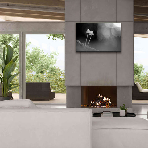 Image of 'Mushroom Tiny' by Thomas Haney, Giclee Canvas Wall Art,40 x 26