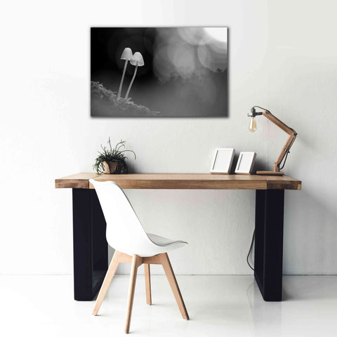 Image of 'Mushroom Tiny' by Thomas Haney, Giclee Canvas Wall Art,40 x 26
