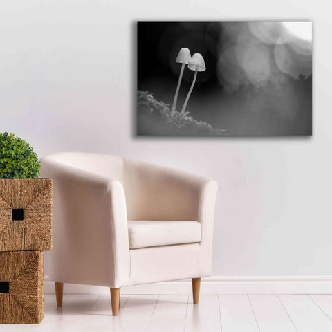 Image of 'Mushroom Tiny' by Thomas Haney, Giclee Canvas Wall Art,40 x 26