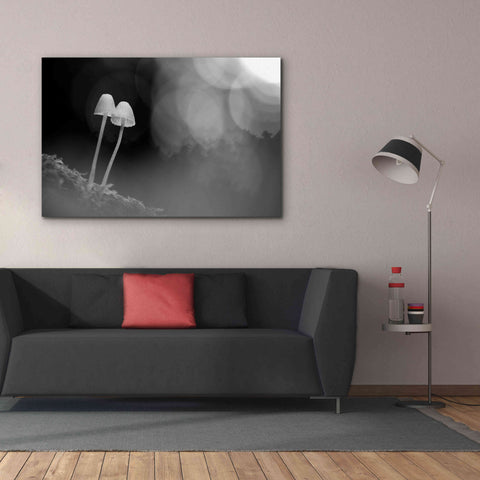 Image of 'Mushroom Tiny' by Thomas Haney, Giclee Canvas Wall Art,60 x 40