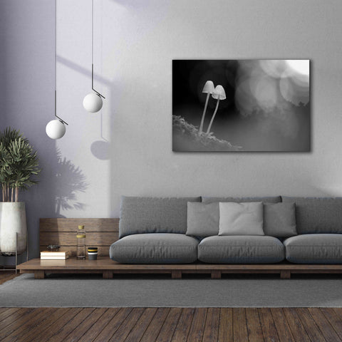 Image of 'Mushroom Tiny' by Thomas Haney, Giclee Canvas Wall Art,60 x 40