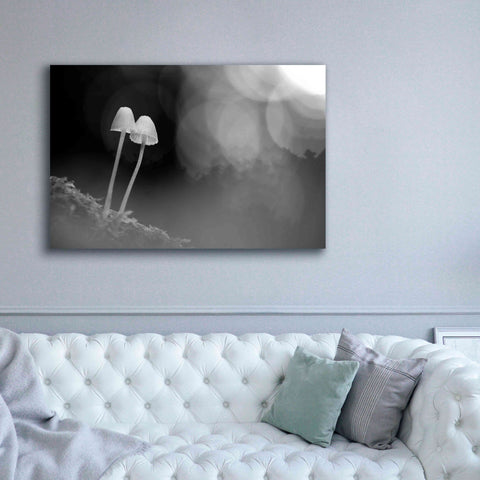 Image of 'Mushroom Tiny' by Thomas Haney, Giclee Canvas Wall Art,60 x 40