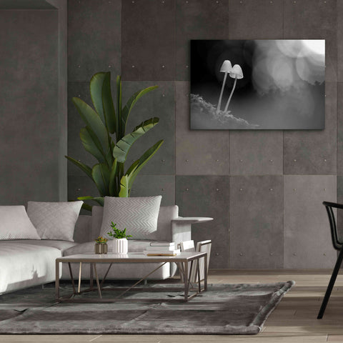 Image of 'Mushroom Tiny' by Thomas Haney, Giclee Canvas Wall Art,60 x 40