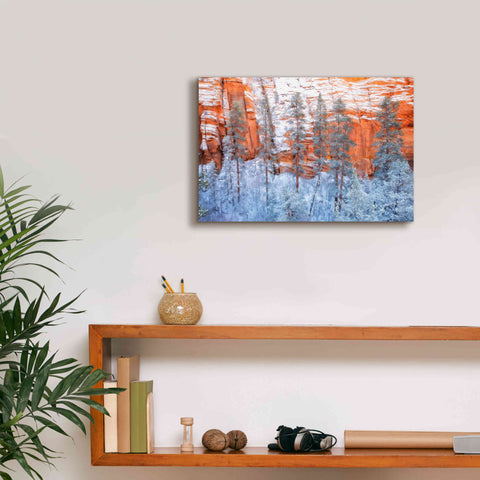 Image of 'Ponderosa Sandstone' by Thomas Haney, Giclee Canvas Wall Art,18 x 12
