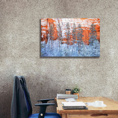 Image of 'Ponderosa Sandstone' by Thomas Haney, Giclee Canvas Wall Art,40 x 26