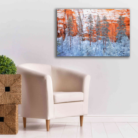 Image of 'Ponderosa Sandstone' by Thomas Haney, Giclee Canvas Wall Art,40 x 26