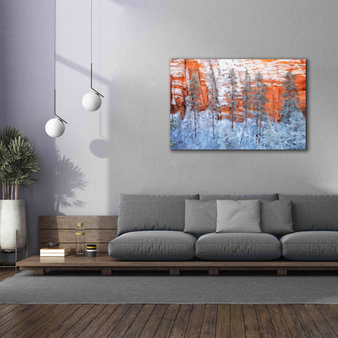 Image of 'Ponderosa Sandstone' by Thomas Haney, Giclee Canvas Wall Art,60 x 40