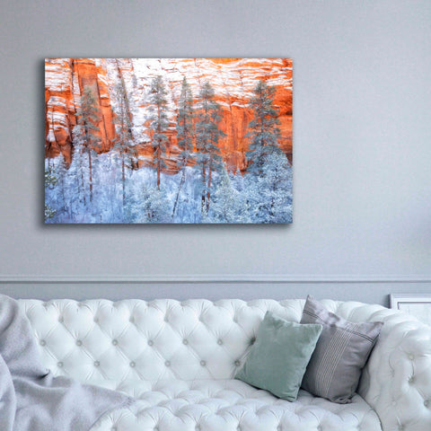 Image of 'Ponderosa Sandstone' by Thomas Haney, Giclee Canvas Wall Art,60 x 40