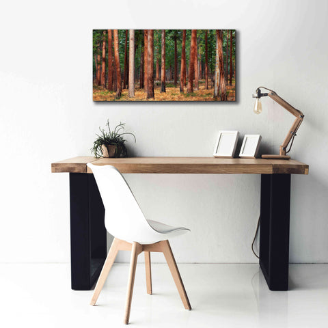 Image of 'Ponderosa Trunks' by Thomas Haney, Giclee Canvas Wall Art,40 x 20