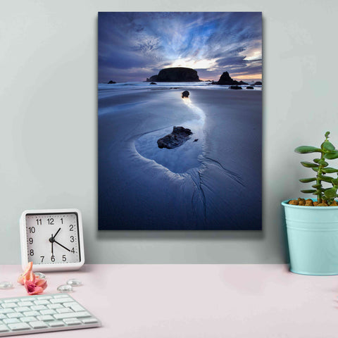 Image of 'Reflection Whale Head' by Thomas Haney, Giclee Canvas Wall Art,12 x 16