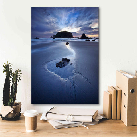 Image of 'Reflection Whale Head' by Thomas Haney, Giclee Canvas Wall Art,18 x 26