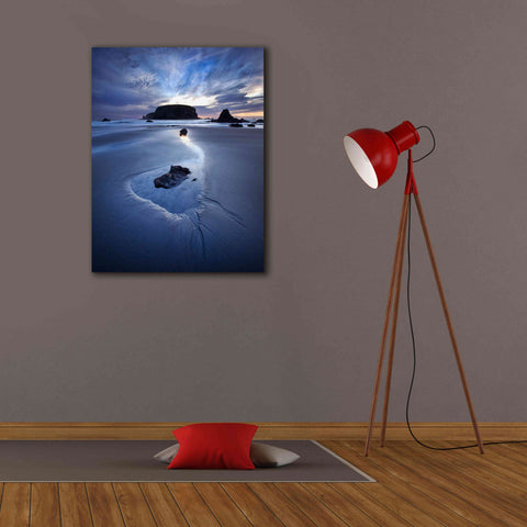 Image of 'Reflection Whale Head' by Thomas Haney, Giclee Canvas Wall Art,26 x 34