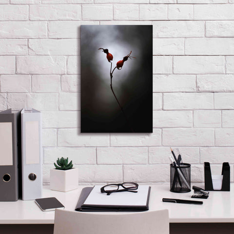 Image of 'Rose Hips' by Thomas Haney, Giclee Canvas Wall Art,12 x 18