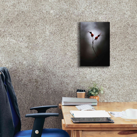 Image of 'Rose Hips' by Thomas Haney, Giclee Canvas Wall Art,12 x 18
