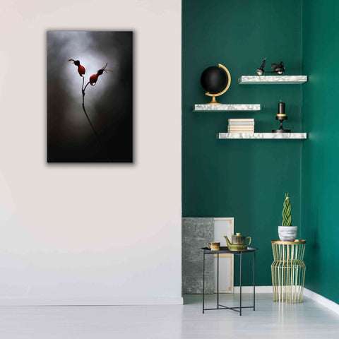 Image of 'Rose Hips' by Thomas Haney, Giclee Canvas Wall Art,26 x 40