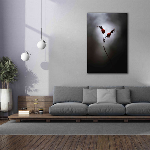 Image of 'Rose Hips' by Thomas Haney, Giclee Canvas Wall Art,40 x 60