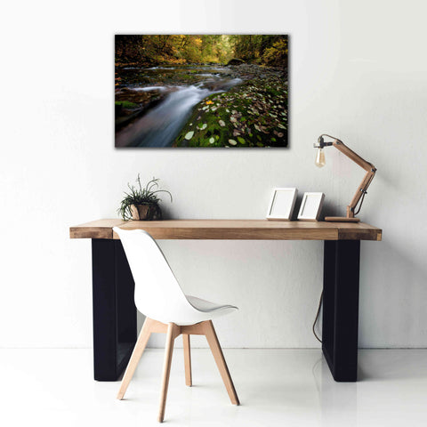Image of 'Rushing Best' by Thomas Haney, Giclee Canvas Wall Art,40 x 26