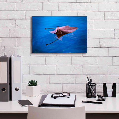 Image of 'Sycamore Reflection' by Thomas Haney, Giclee Canvas Wall Art,18 x 12