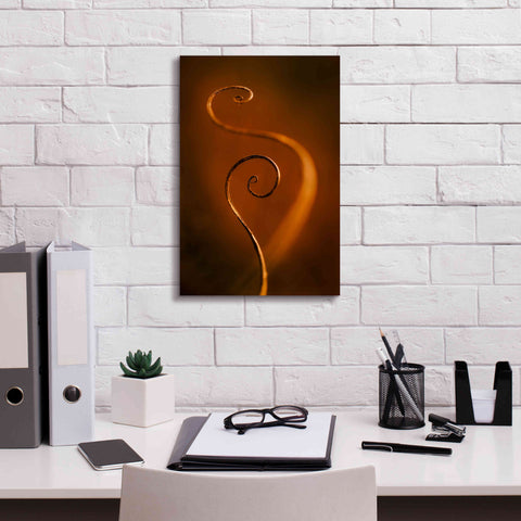 Image of 'Tendrils Red' by Thomas Haney, Giclee Canvas Wall Art,12 x 18