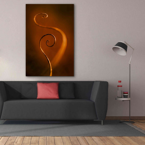 Image of 'Tendrils Red' by Thomas Haney, Giclee Canvas Wall Art,40 x 60