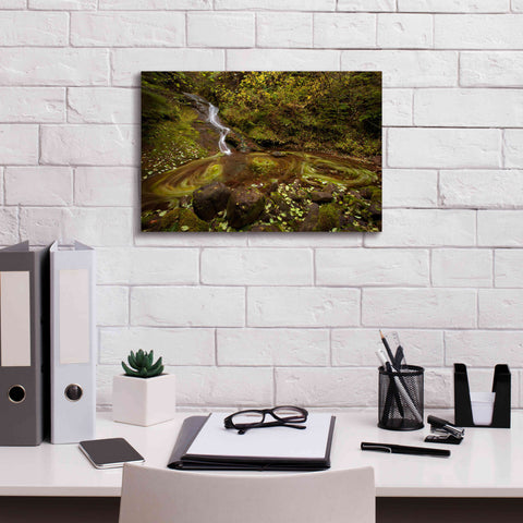 Image of 'Three Blurs' by Thomas Haney, Giclee Canvas Wall Art,18 x 12