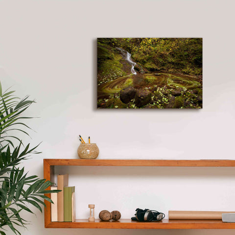 Image of 'Three Blurs' by Thomas Haney, Giclee Canvas Wall Art,18 x 12