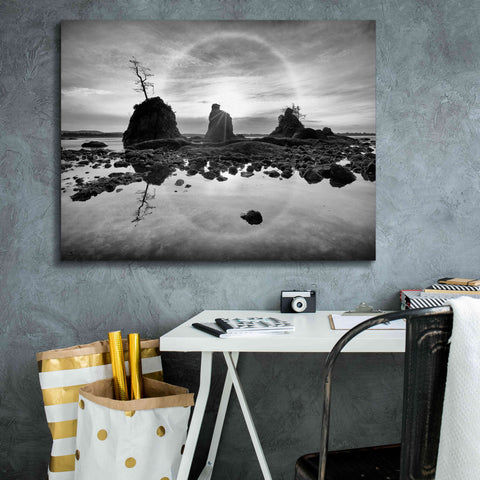 Image of 'Tree Island' by Thomas Haney, Giclee Canvas Wall Art,34 x 26