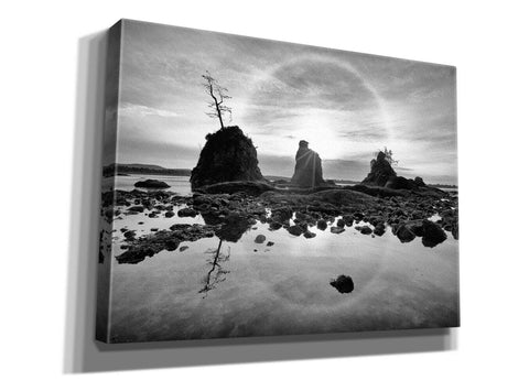 Image of 'Tree Island' by Thomas Haney, Giclee Canvas Wall Art