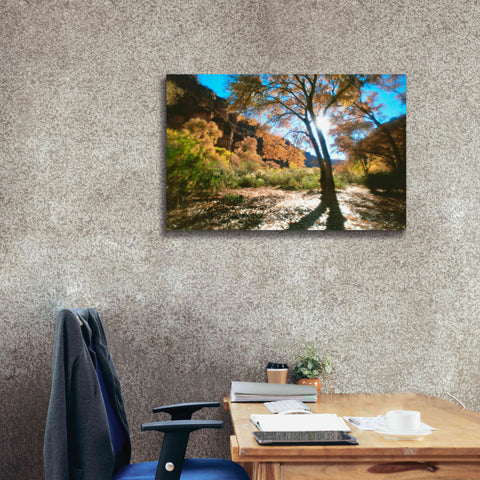 Image of 'Trembling' by Thomas Haney, Giclee Canvas Wall Art,40 x 26