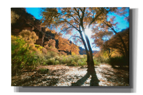 Image of 'Trembling' by Thomas Haney, Giclee Canvas Wall Art